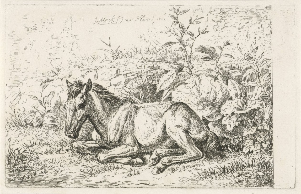 Liegendes Pferd vor einigen Pflanzen von Johannes Mock