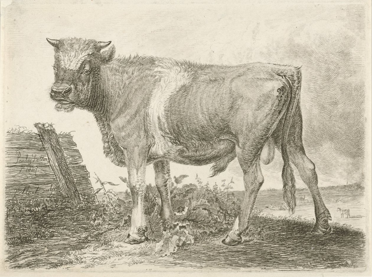Stier von Johannes Mock