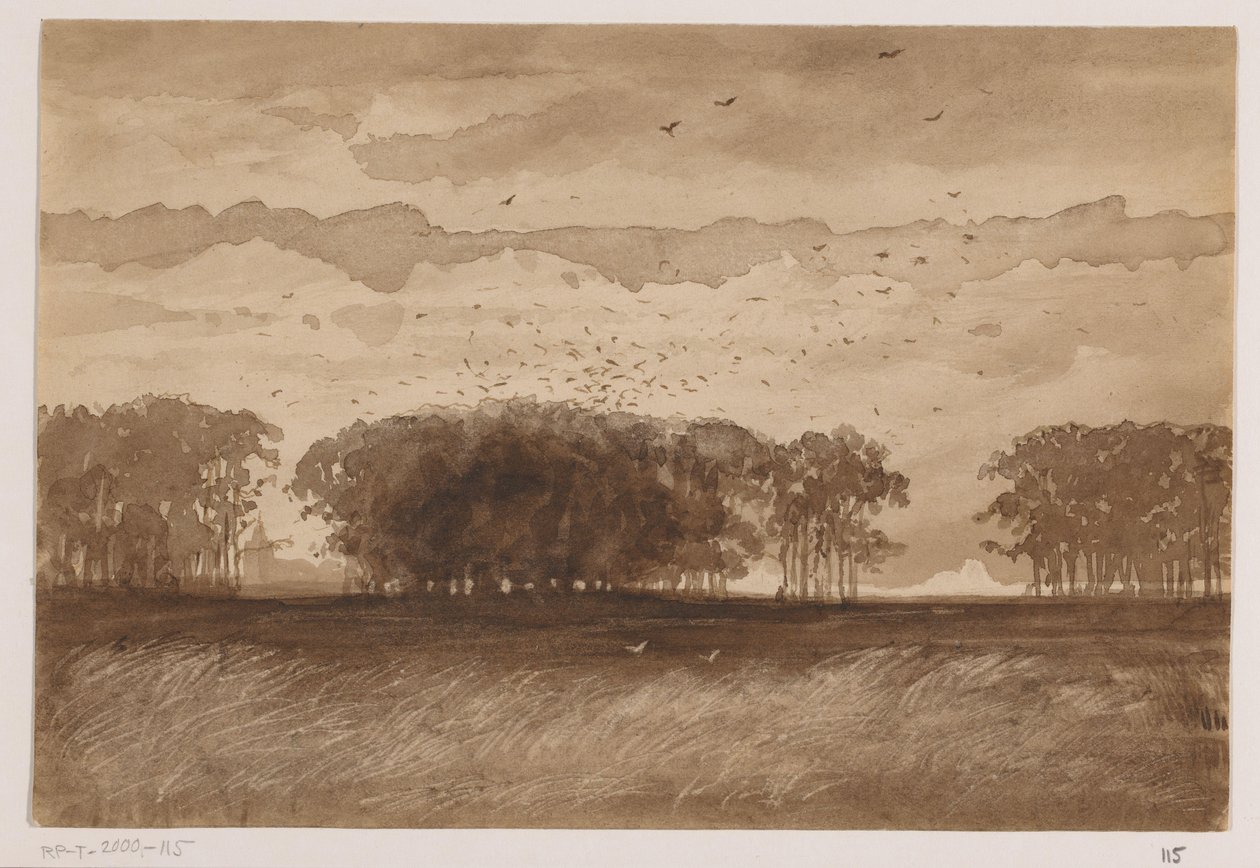 Saatkrähenkolonie in Nordbrabant von Johannes Tavenraat (signed by artist)