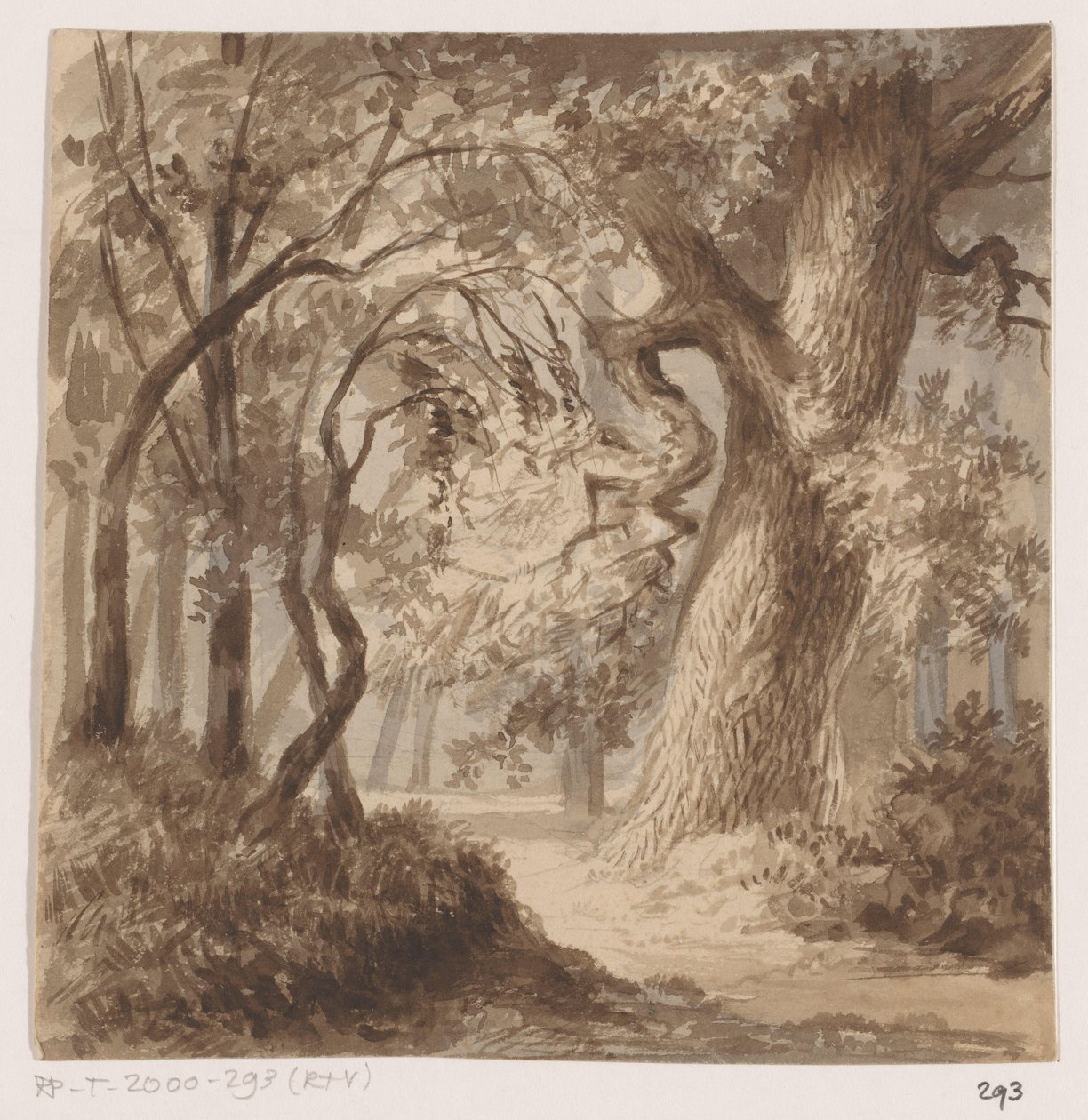 Waldlandschaft von Johannes Tavenraat