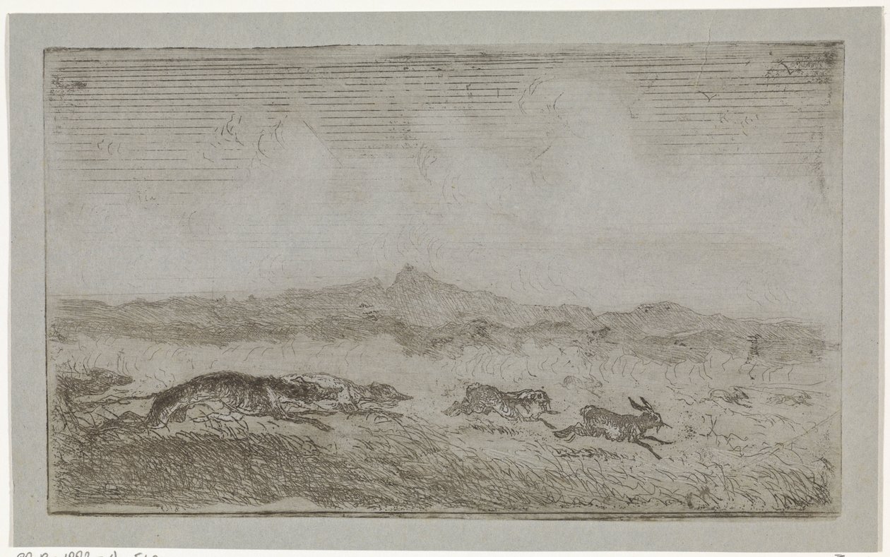 Hasenjagd von Johannes Tavenraat