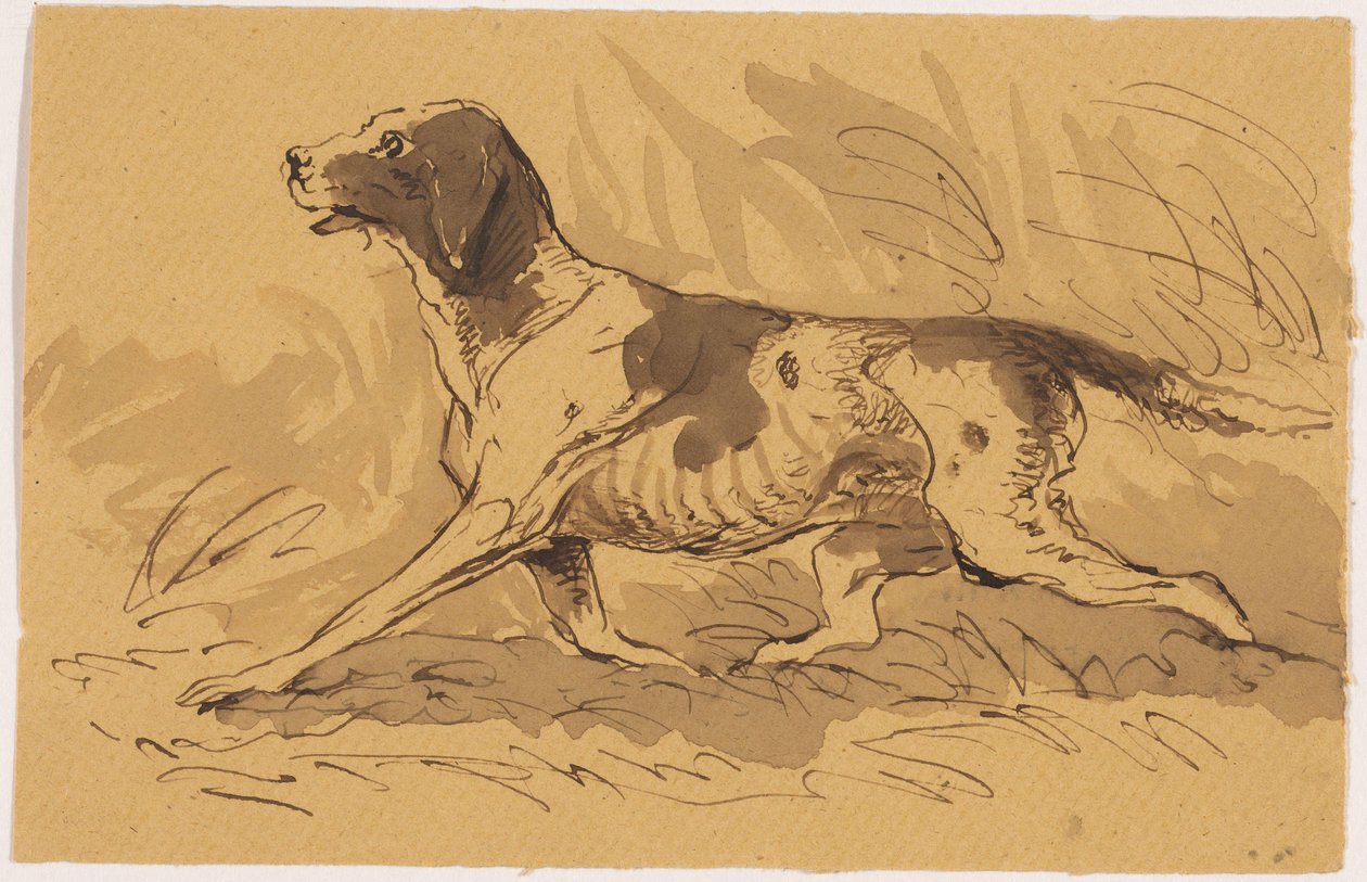 Jagdhund von Johannes Tavenraat