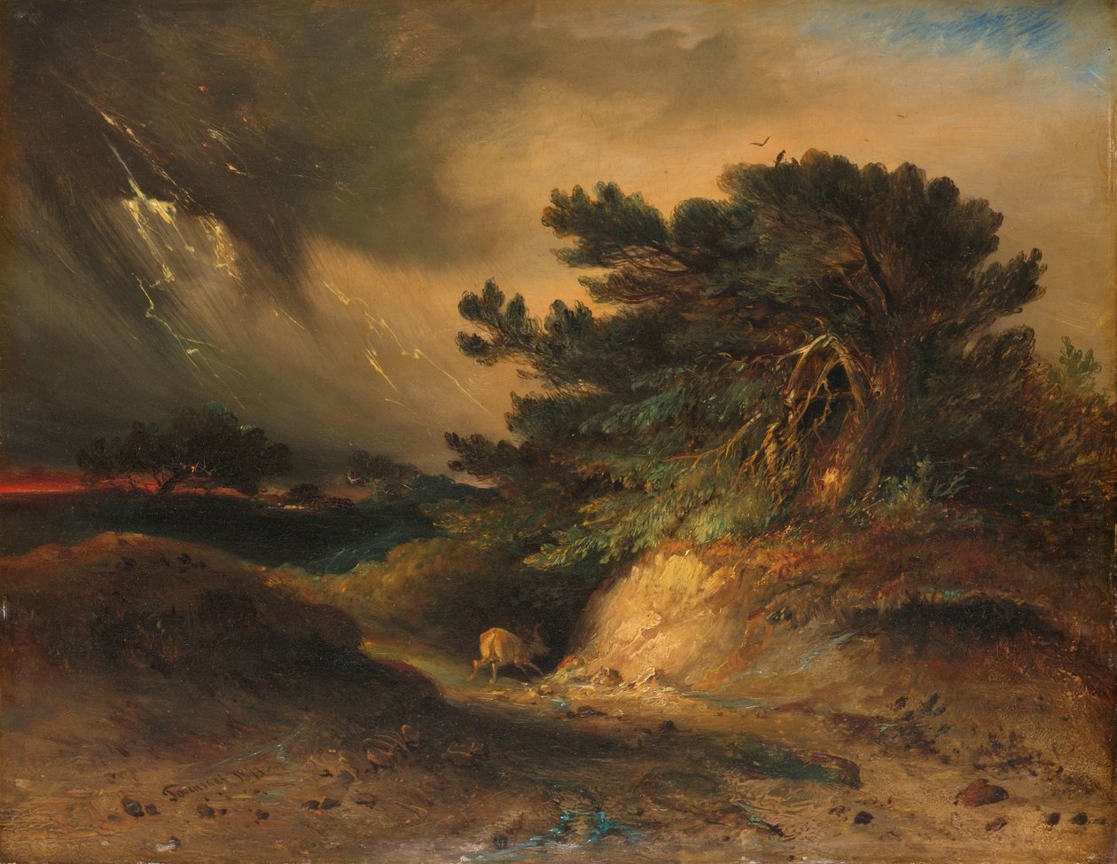 Das Gewitter von Johannes Tavenraat