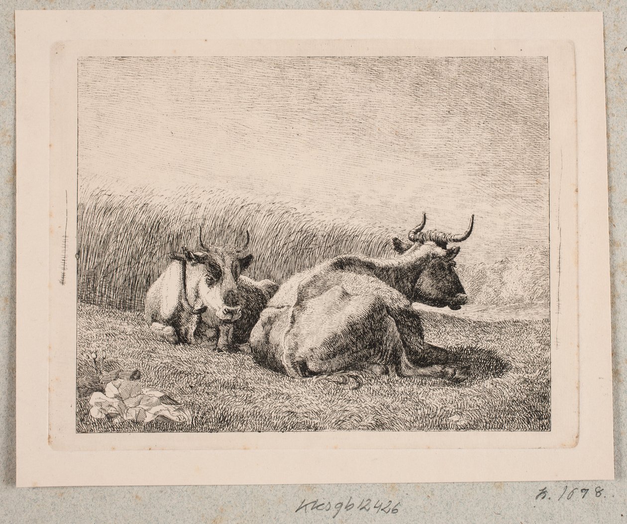 Zwei ruhende Kühe von Johannes Wilhelm Zillen