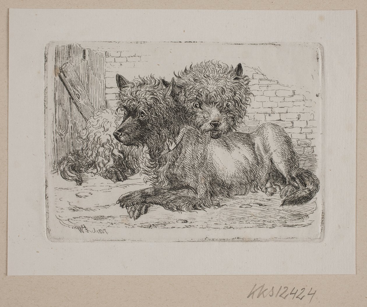 Zwei liegende Hunde von Johannes Wilhelm Zillen