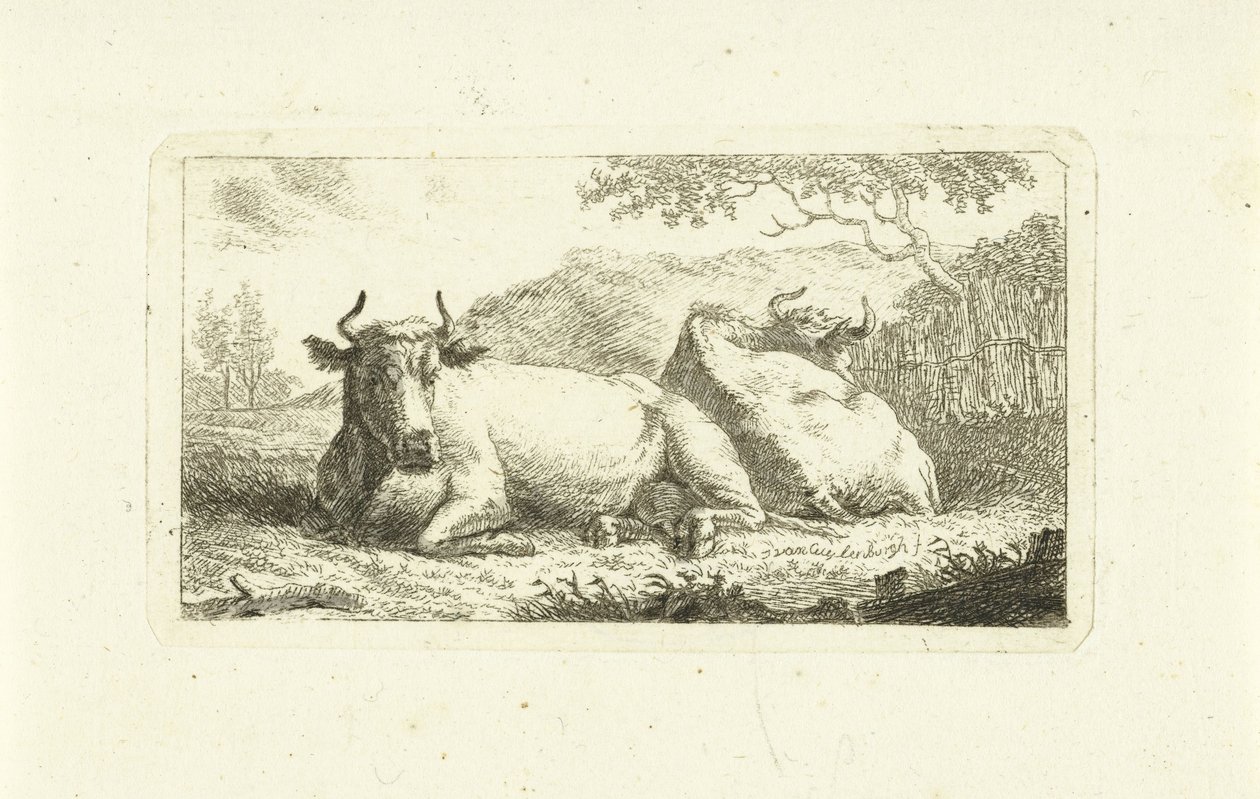 Zwei liegende Kühe von Johannes van Cuylenburgh