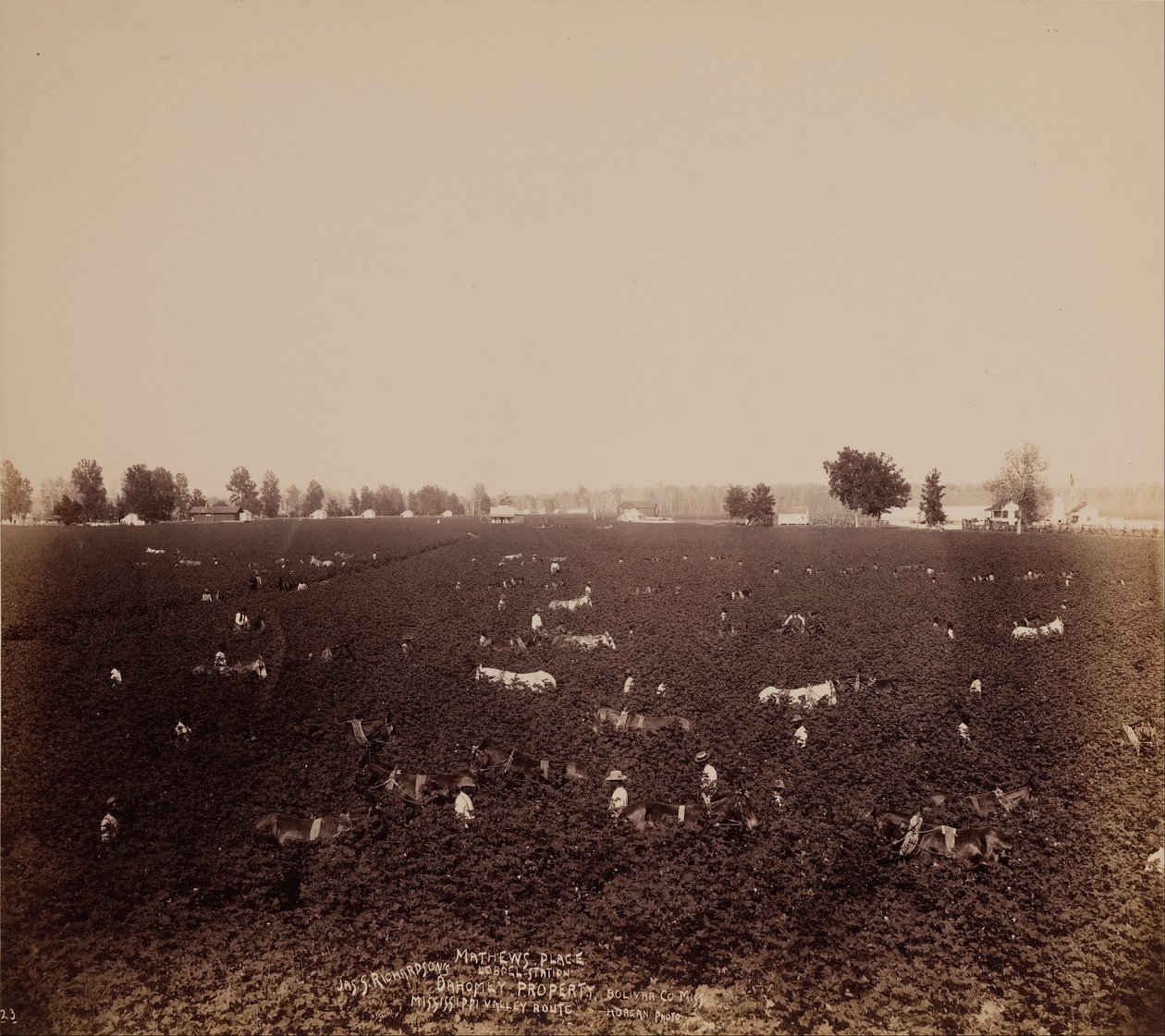 Mathews Place, Lobdel Station, Jas. S. Richardsons Anwesen, Bolivar Co., Miss., Mississippi-Tal von John Horgan Jr.