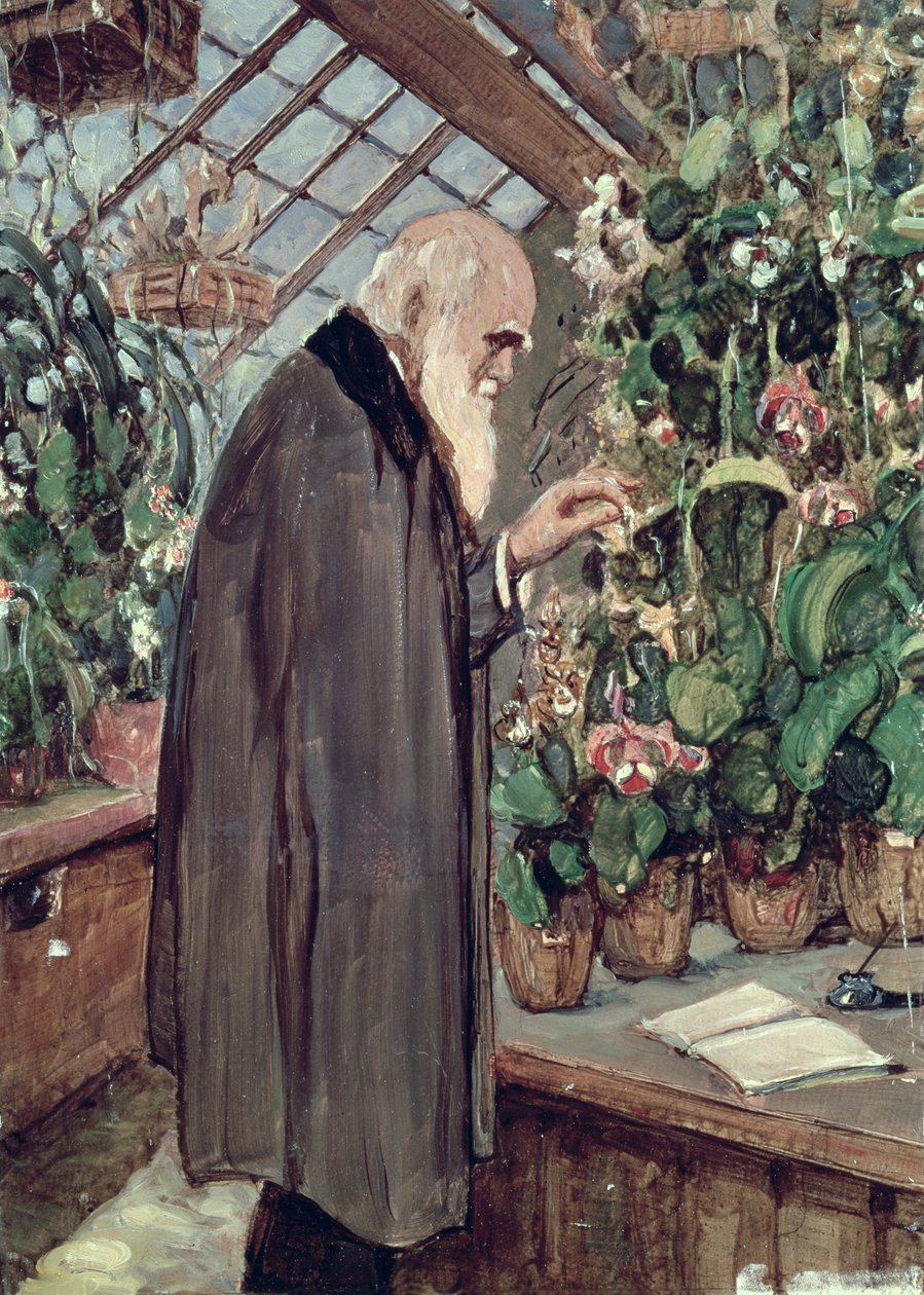 Charles Robert Darwin (1809-82) von John Collier
