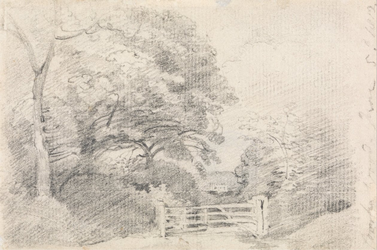 Coombe Wood von John Constable