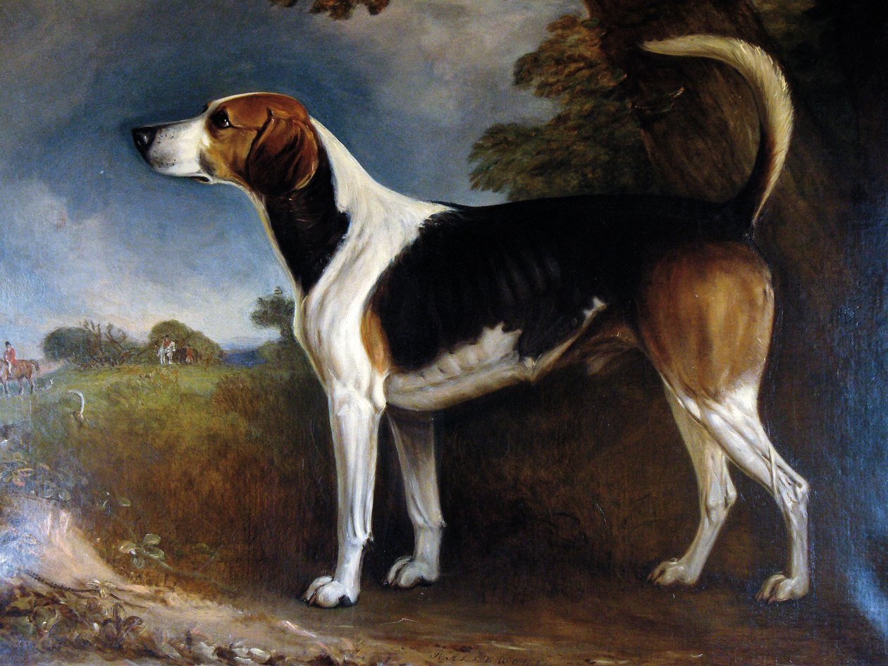 Rallywood, 1850 von John E. Ferneley