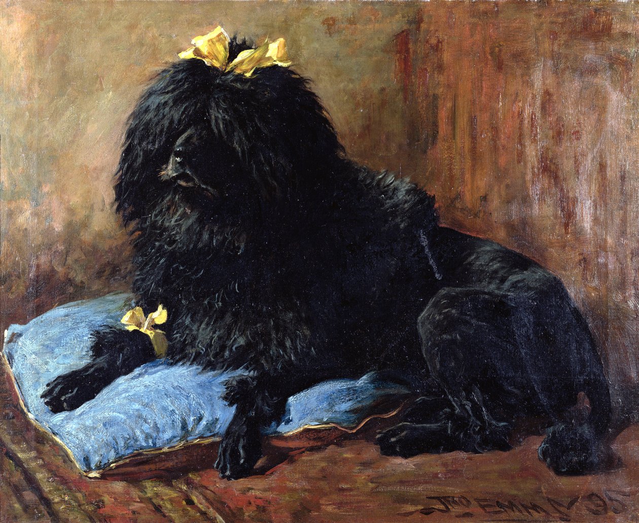 Ein schwarzer Standardpudel auf einem blauen Kissen, 1895 von John Emms