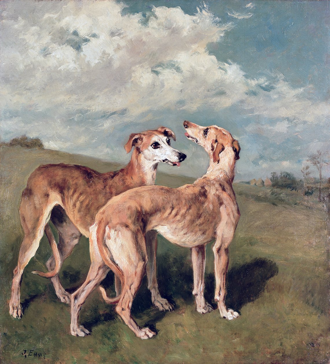 Windhunde von John Emms