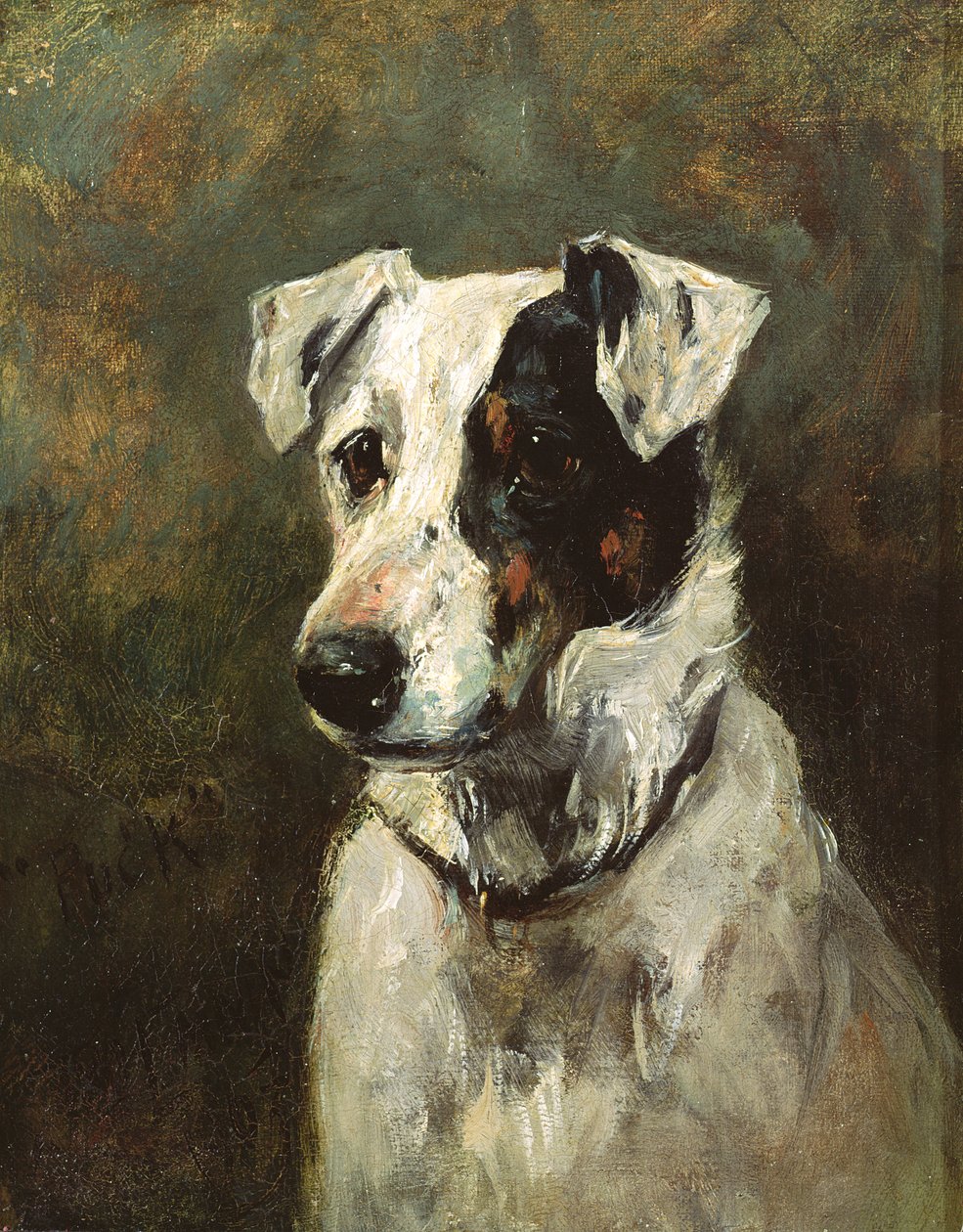 Puck, 1903 von John Emms