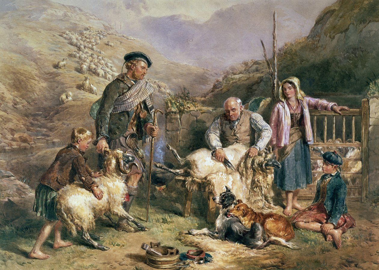 Schafschur von John Frederick Tayler