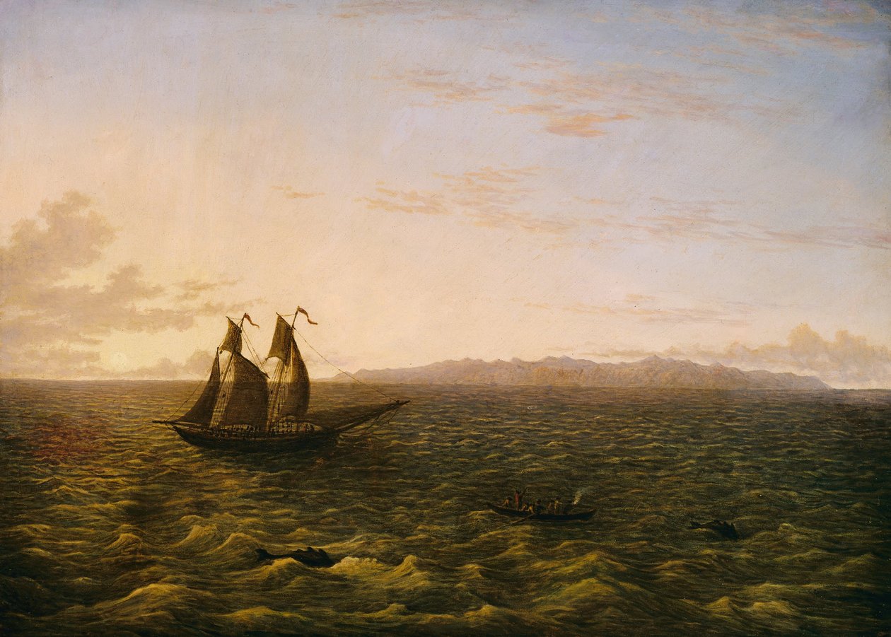 Die Insel Madeira von John Glover