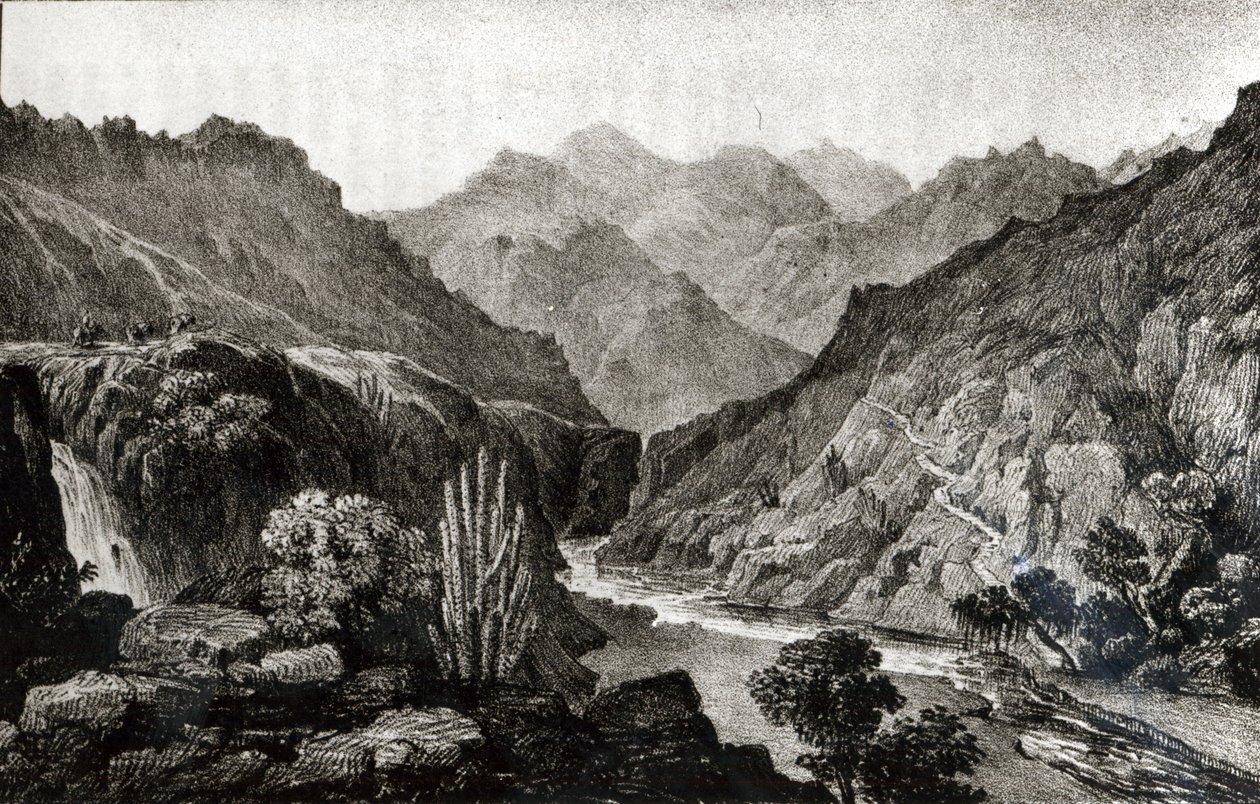 Ansicht in der Cordillera von John Miers