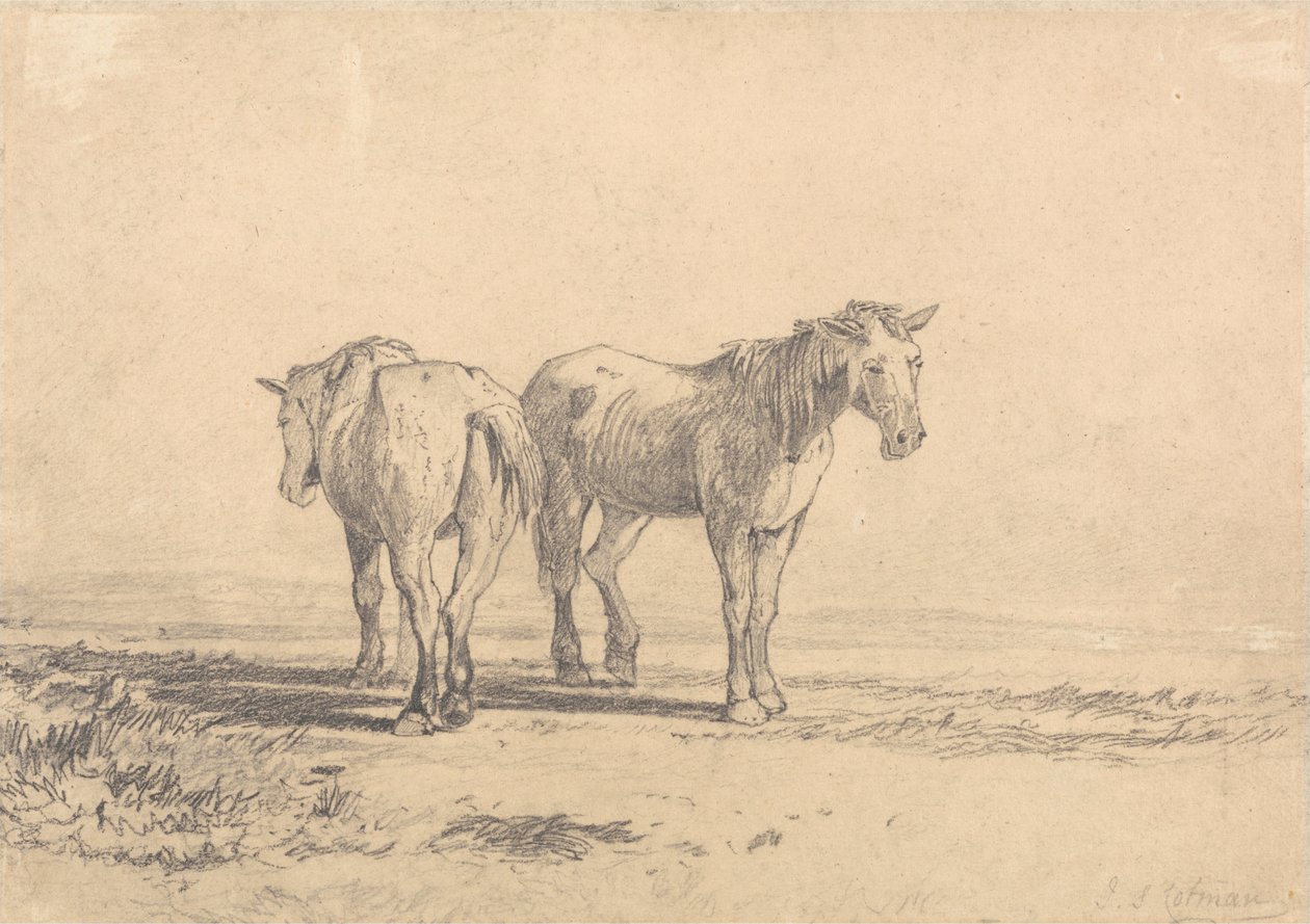 Zwei alte Pferde stehen auf einem Feld von John Sell Cotman