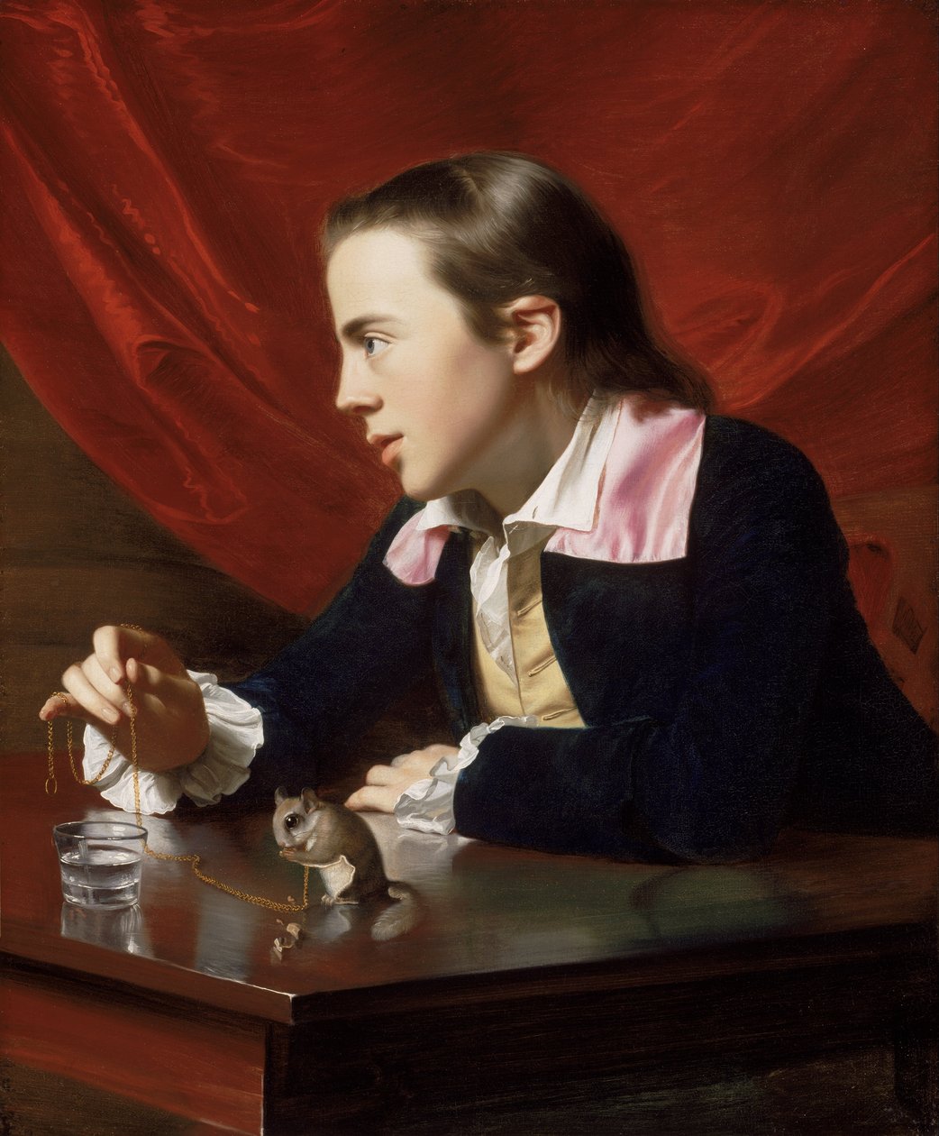 Ein Junge mit einem fliegenden Eichhörnchen (Henry Pelham) von John Singleton Copley