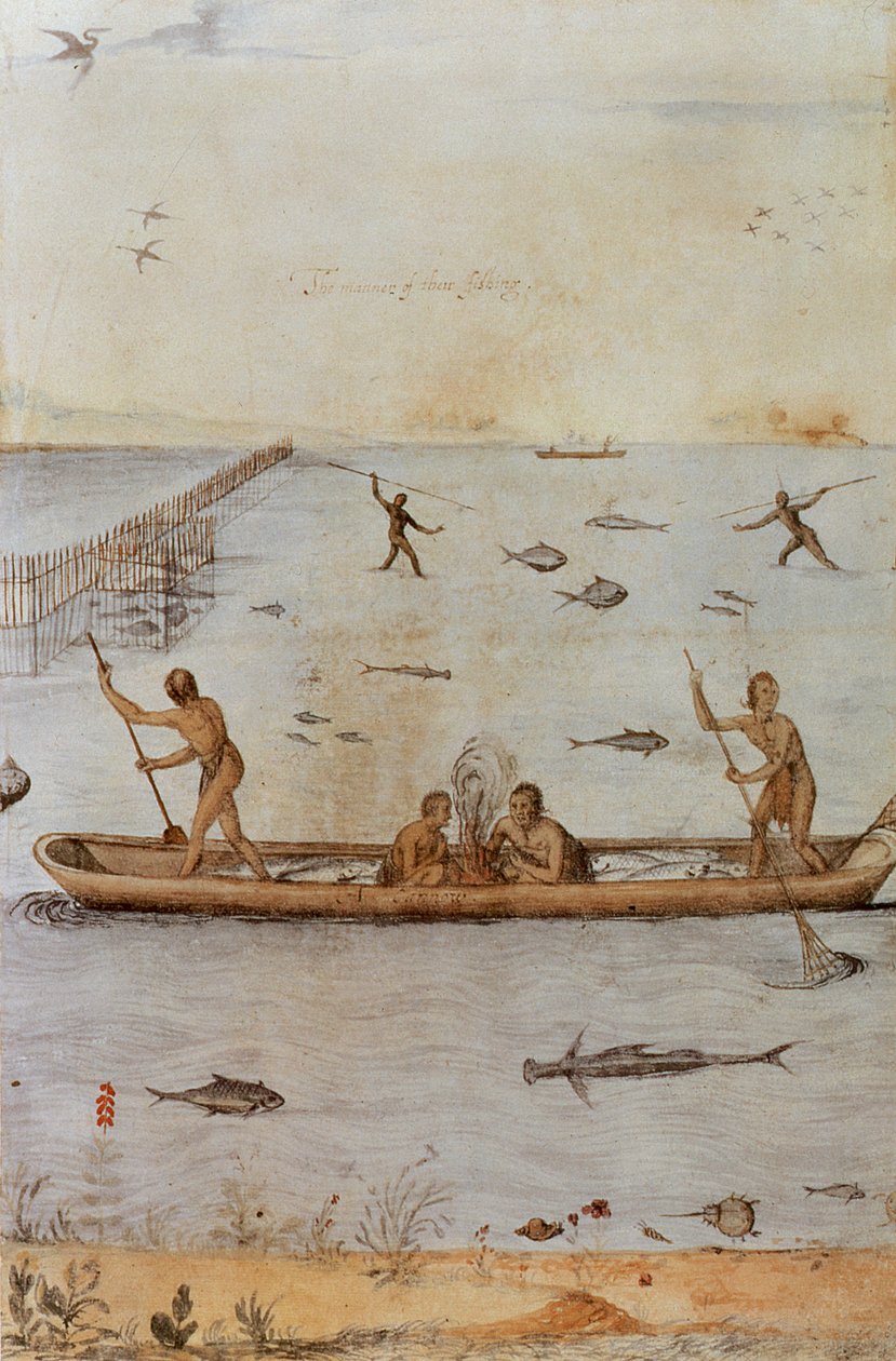 Indianer beim Fischen von John White