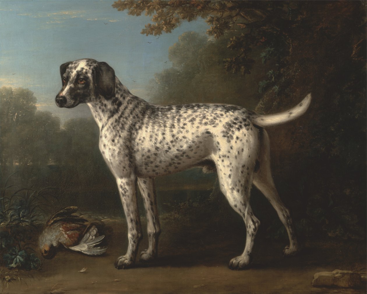 Ein grau gefleckter Hund von John Wootton