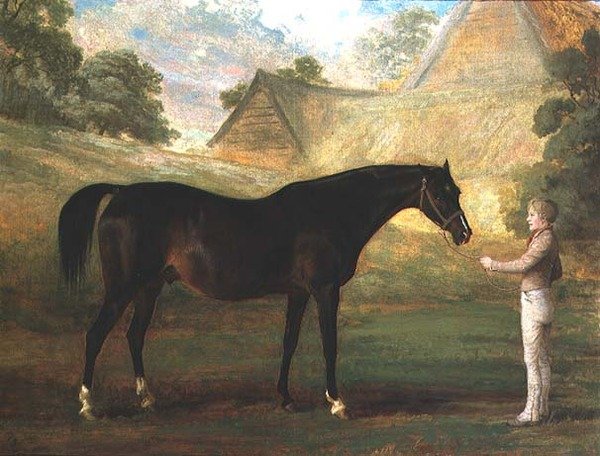Fingerhut, ein brauner Vollblüter von John (attr. to) Boultbee