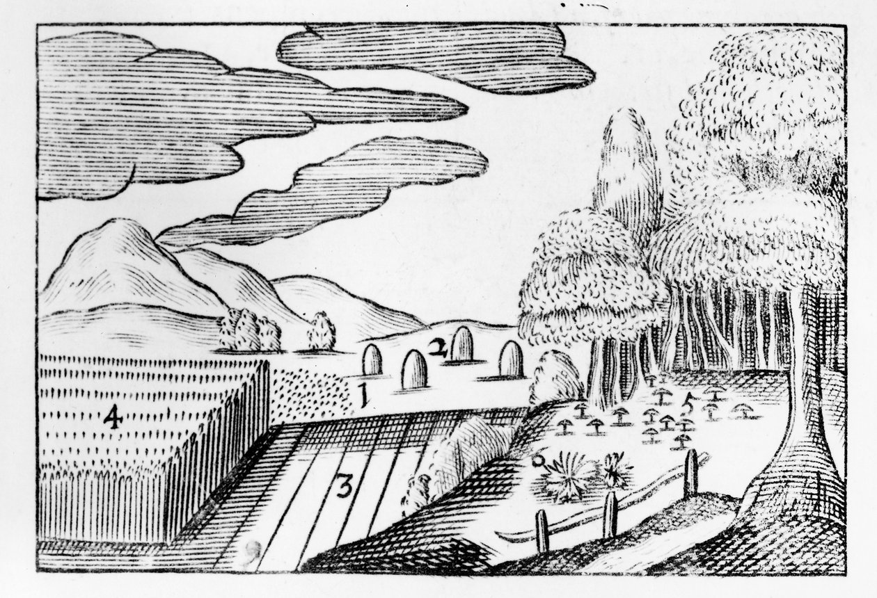 Früchte der Erde, 1658 von John Amos Comenius
