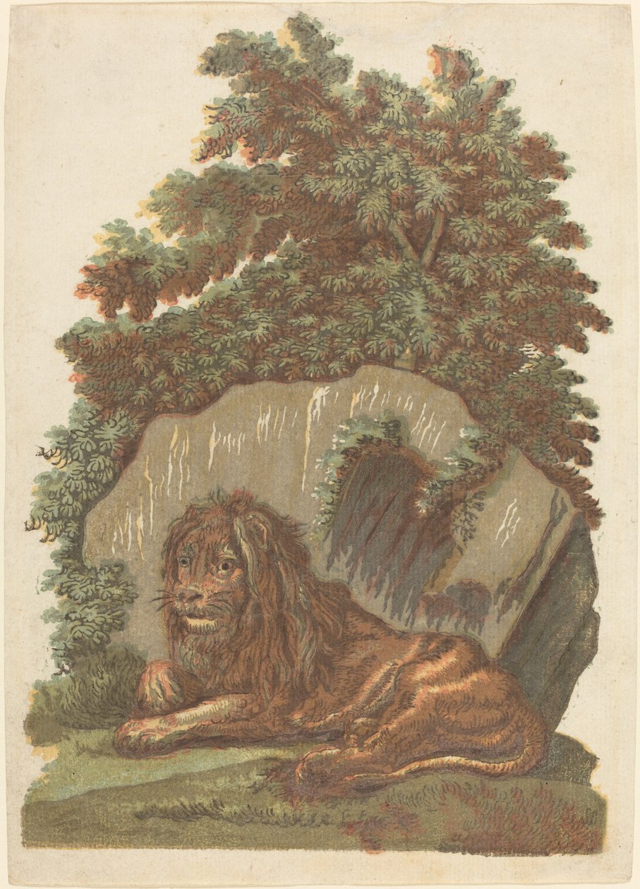 Der Löwe von John Baptist Jackson