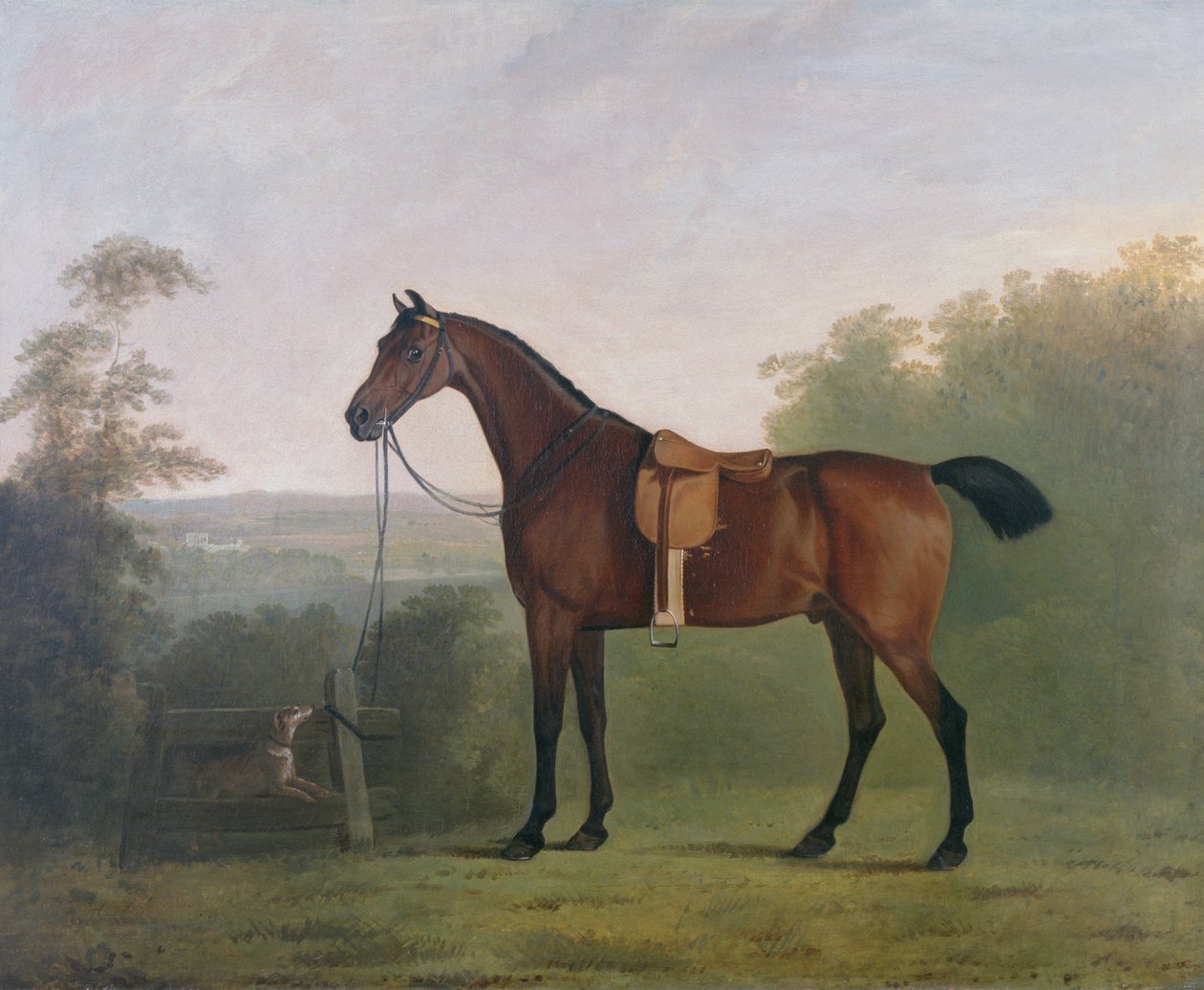 Ein brauner Jäger in einer Landschaft von John Boultbee