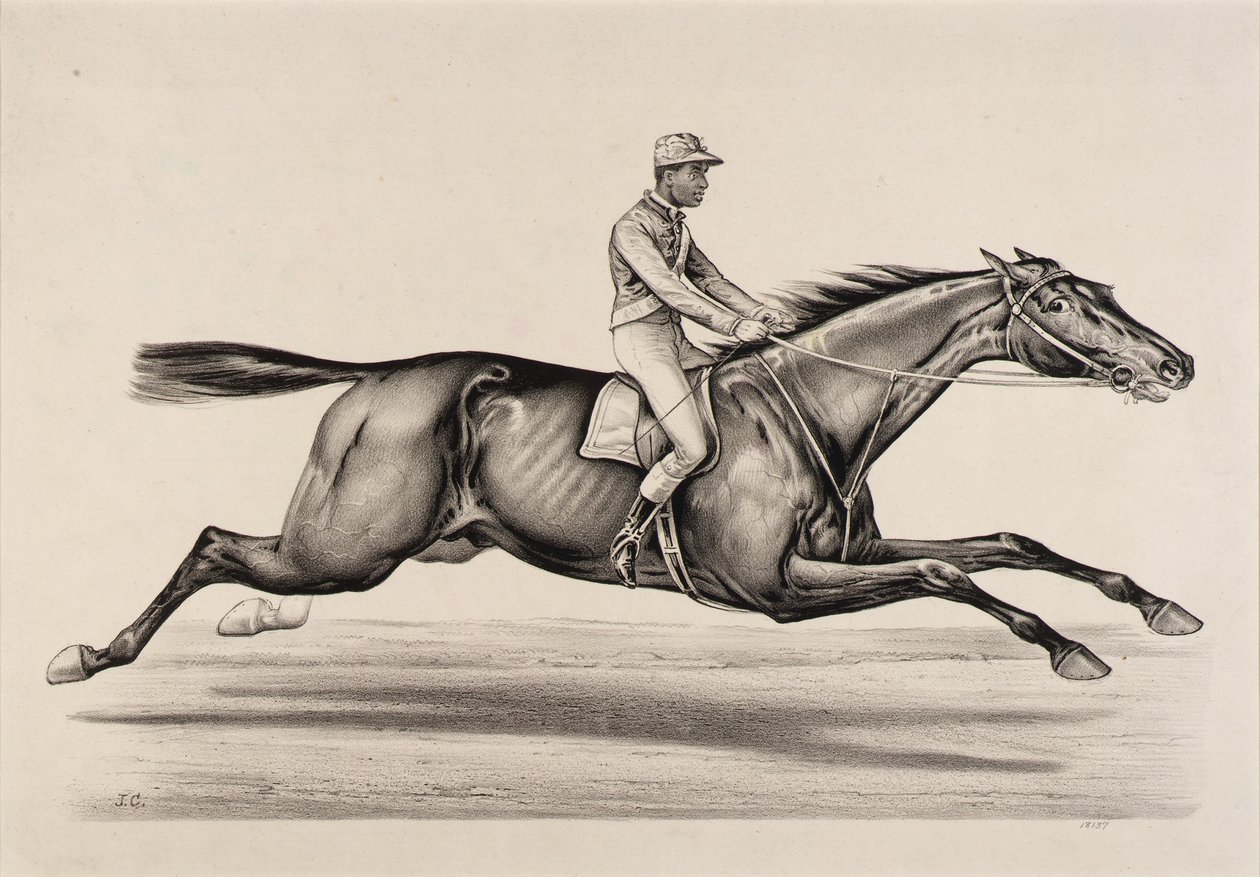 Kaiser von Norfolk von John Cameron
