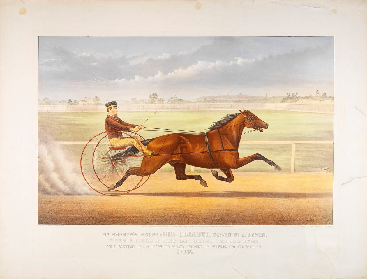 Herr Bonners Pferd Joe Elliott von John Cameron