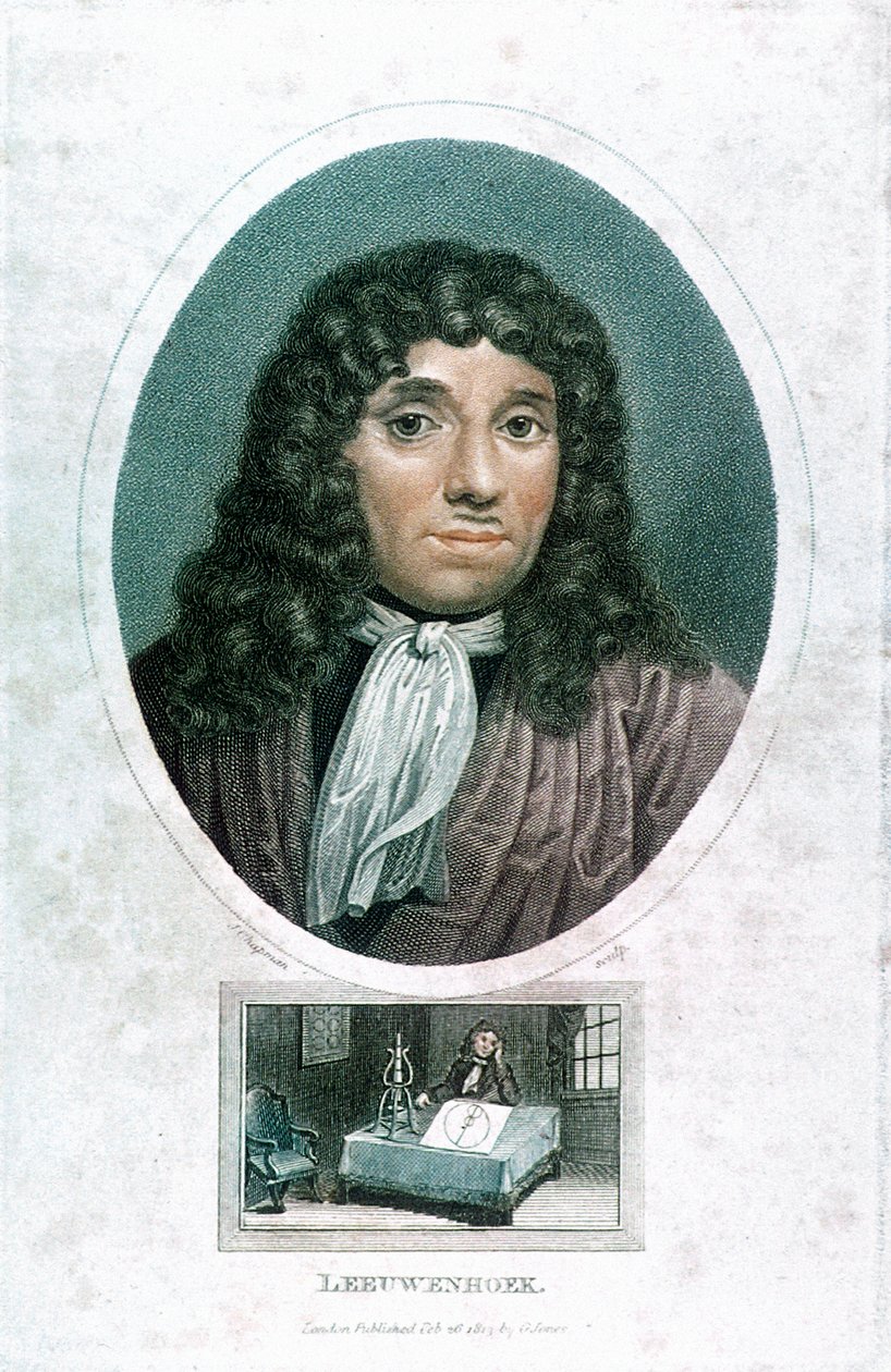 Anton van Leeuwenhoek 1632-1723, niederländischer Mikroskopist, c1810 von John Chapman