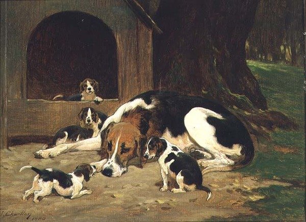 Eine Foxhound-Hündin mit ihrem Wurf von John Charlton