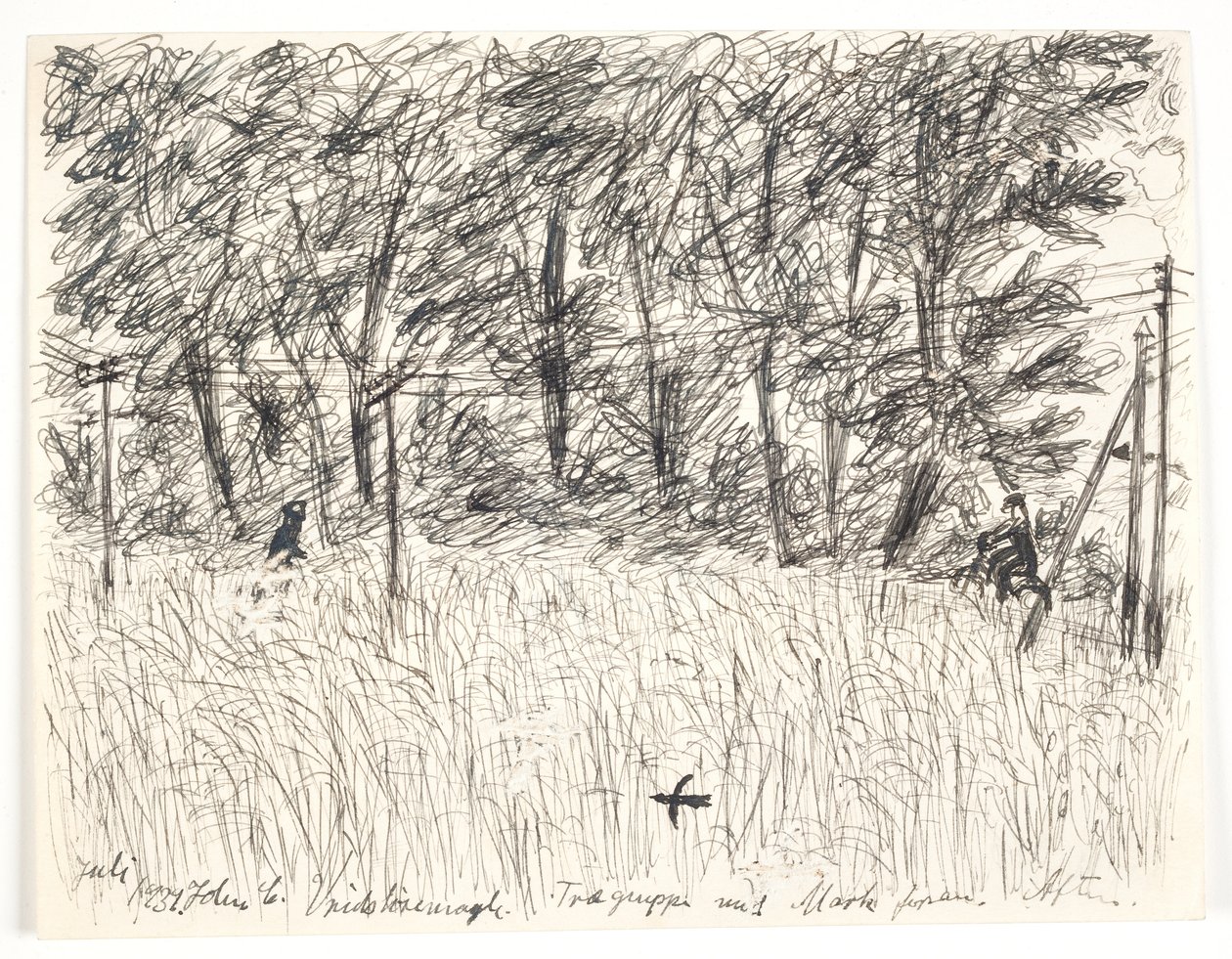 Vridsløsemagle. Baumgruppe mit Feld davor. Abend von John Christensen