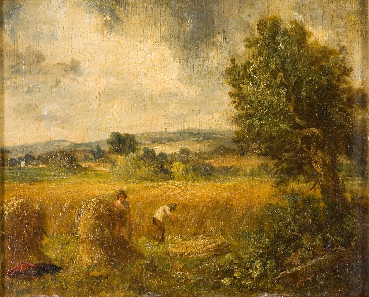 Ein Kornfeld, 1796-1837 von John Constable