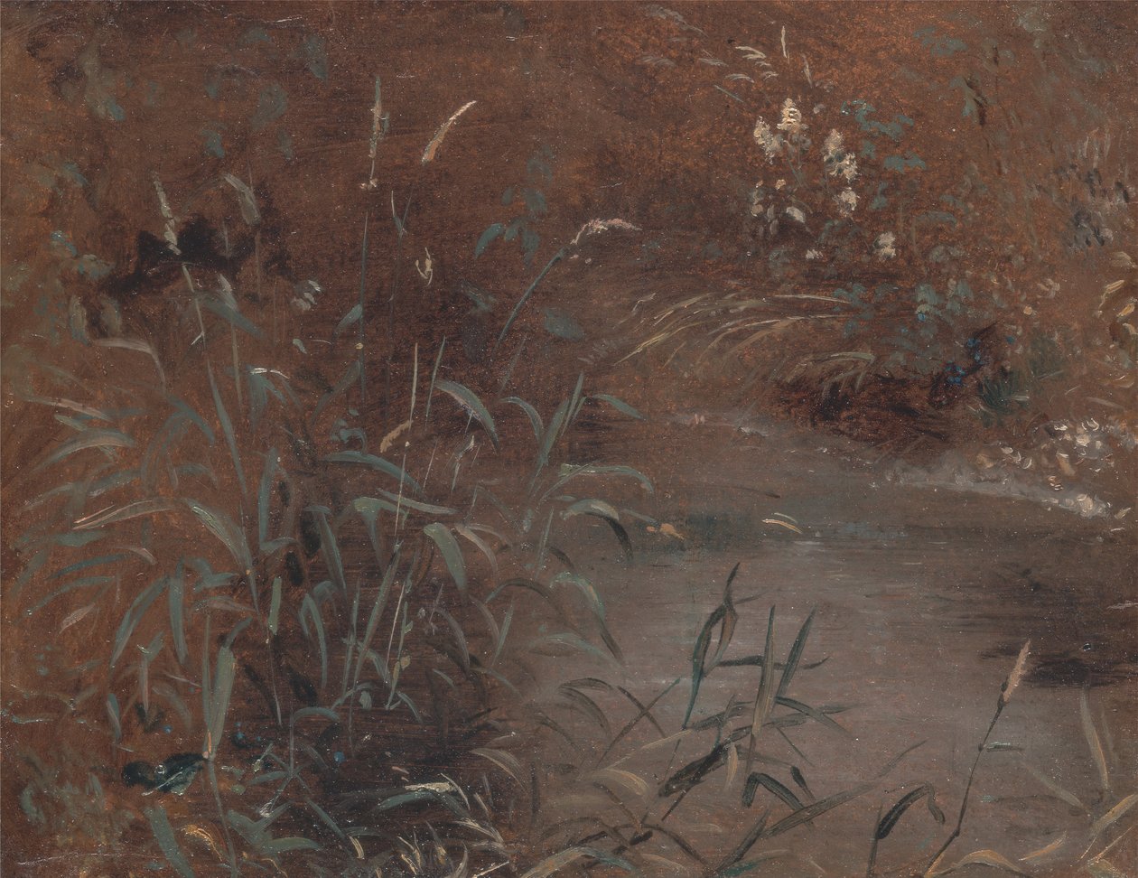 Schilf an einem Teich, ca. 1821 von John Constable