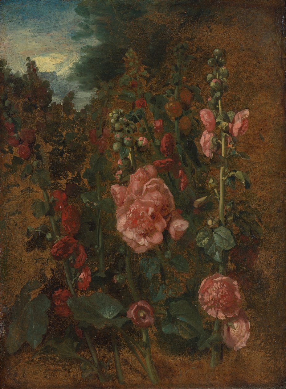 Studie von Stockrosen von John Constable