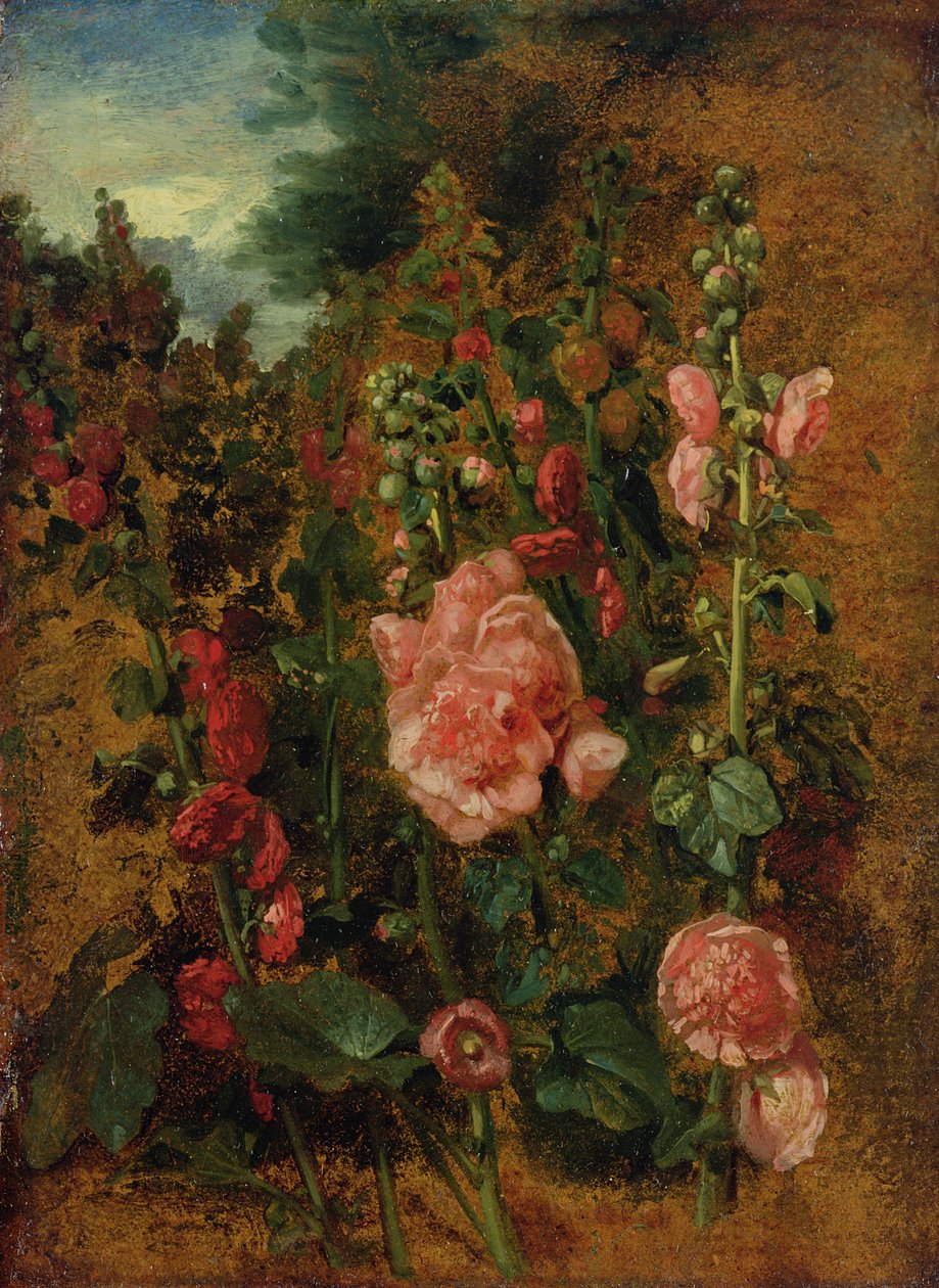 Studie von Stockrosen, um 1826 von John Constable