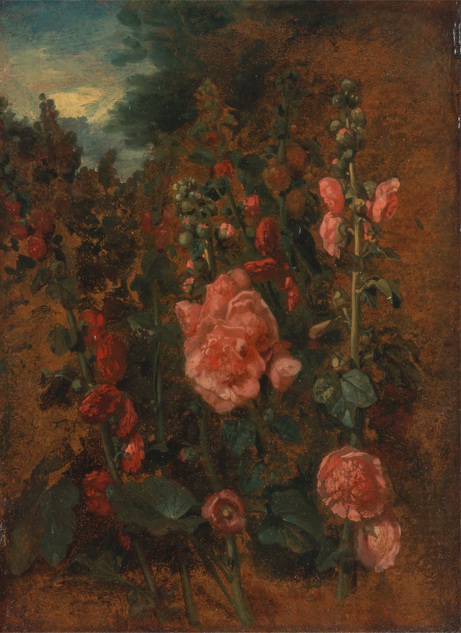 Studie von Stockrosen, ca. 1826 von John Constable