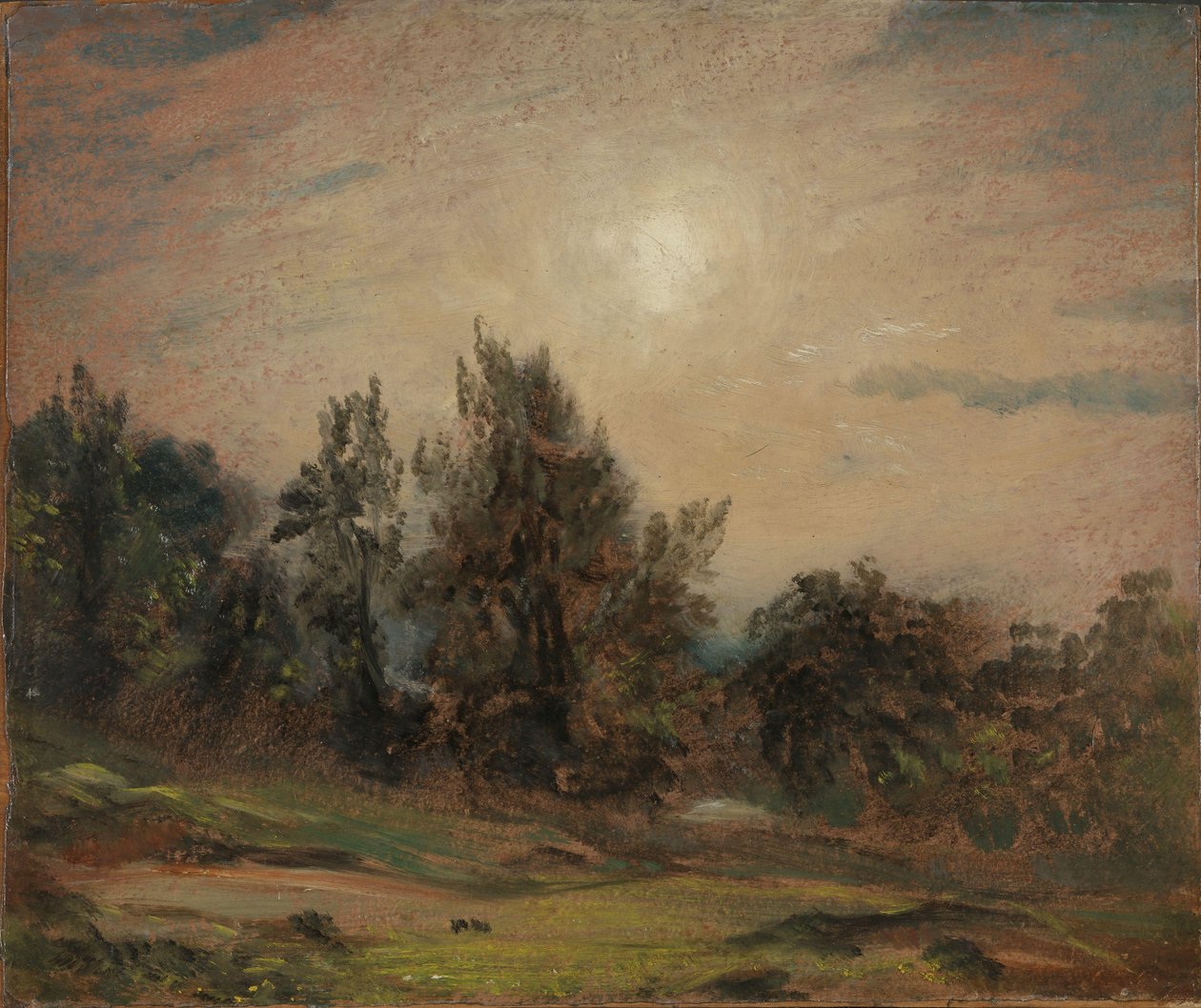 Bäume auf Hampstead Heath von John Constable