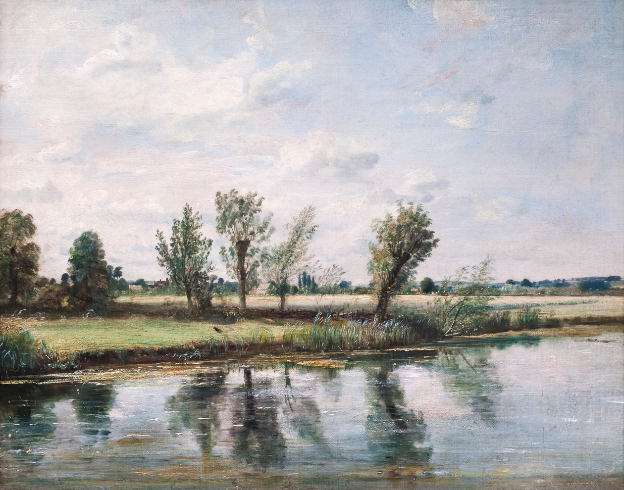 Wiesen bei Salisbury von John Constable