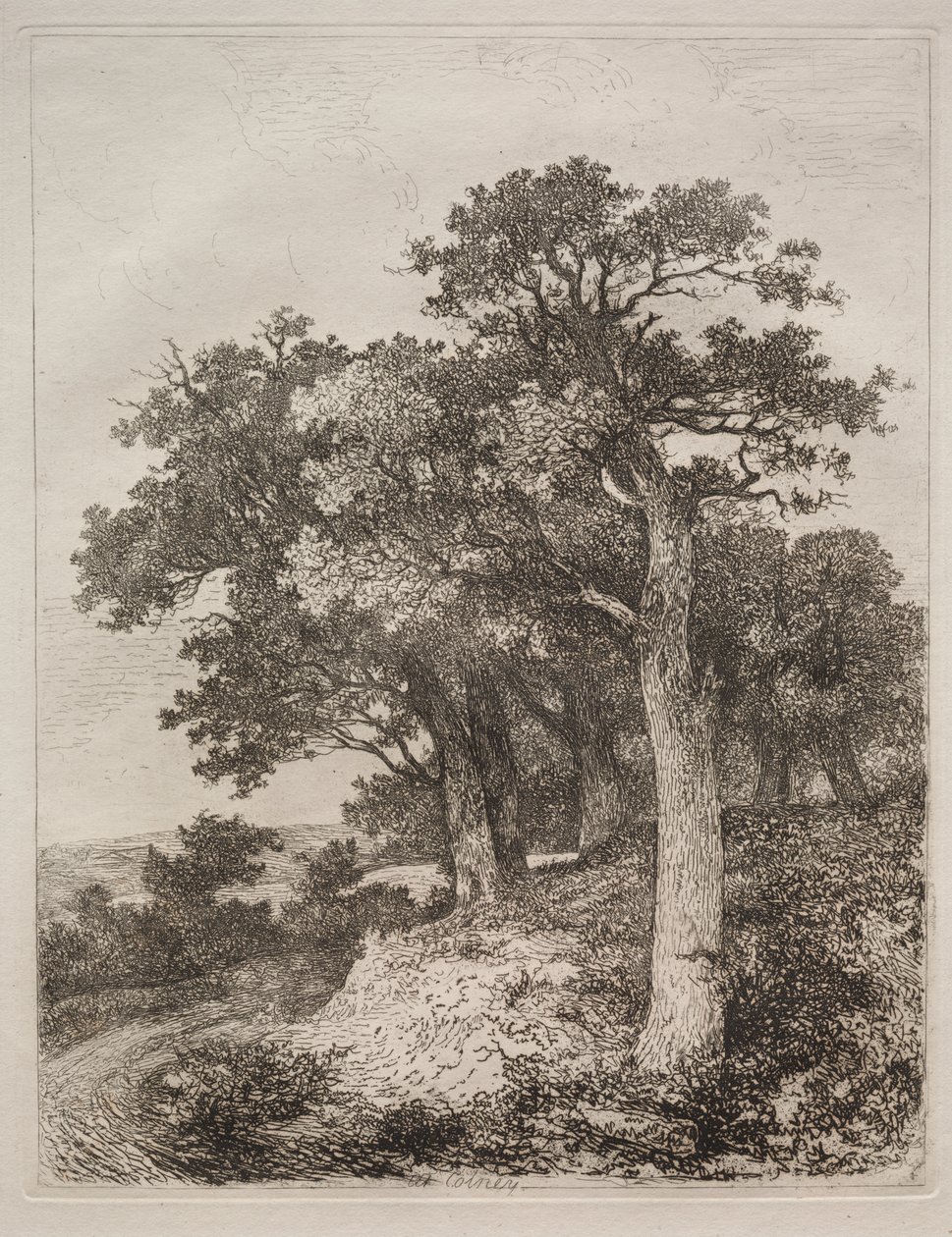 In Colney von John Crome