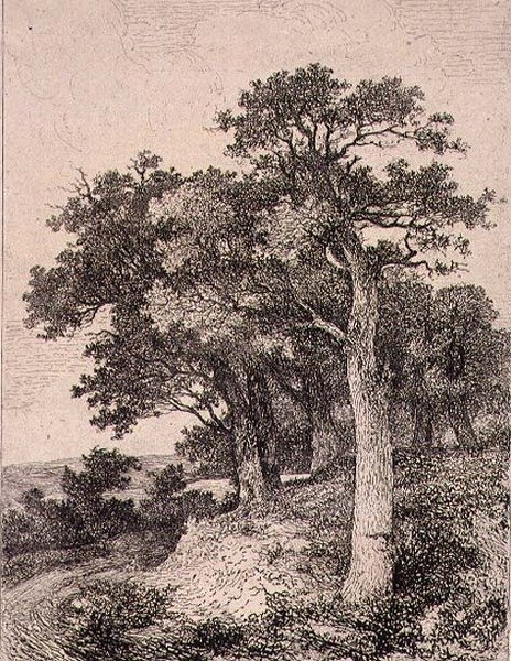 In Colney, veröffentlicht von J. & W. Freeman von John Crome