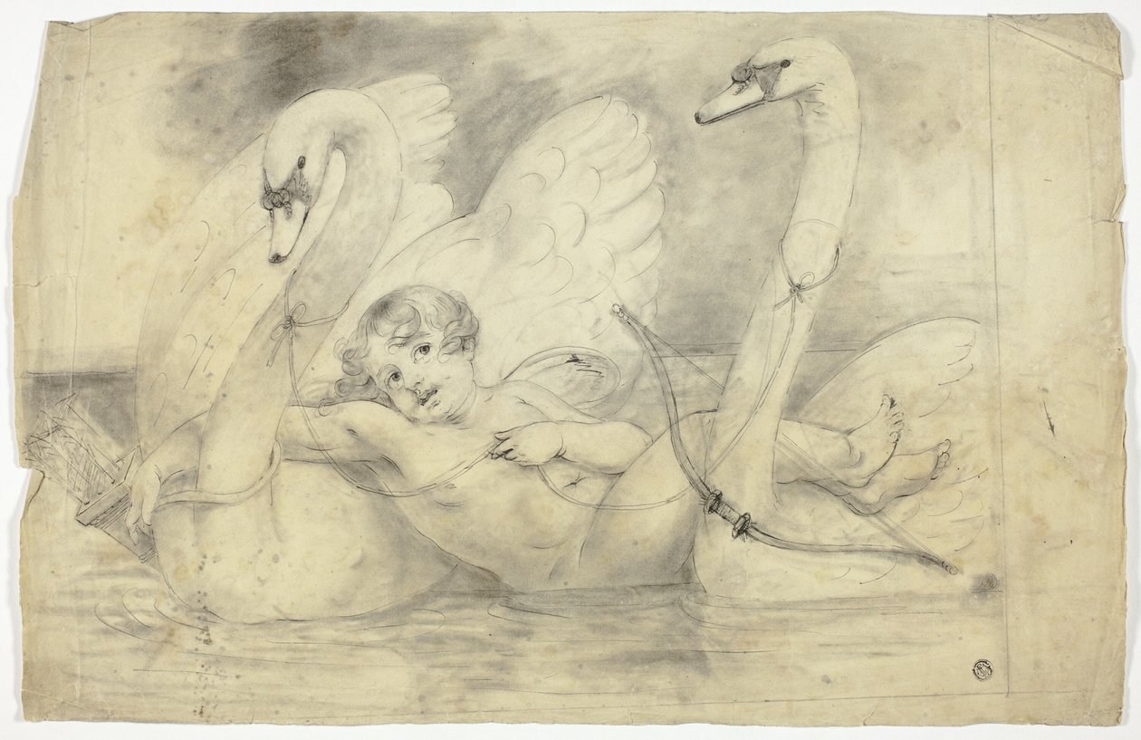 Amor und Schwäne von John Downman