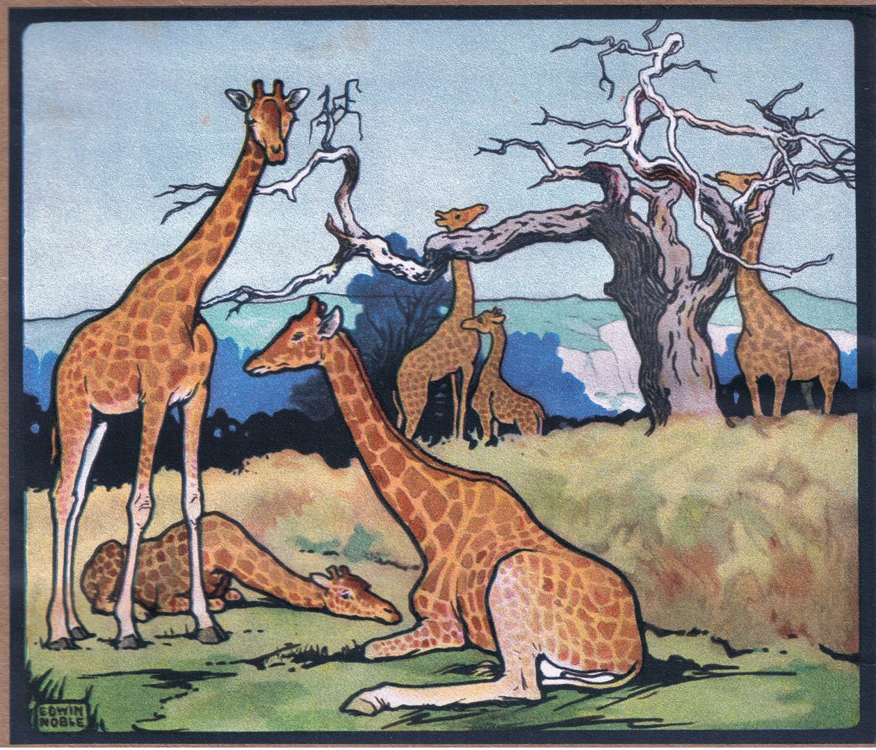 Giraffe von John Edwin Noble