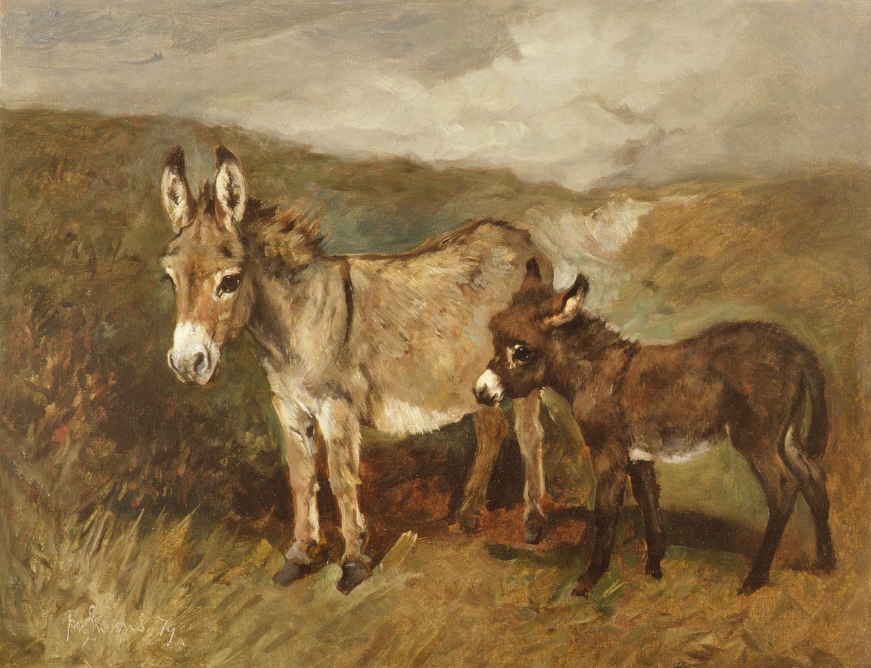 Esel auf der Heide, ca. 1890 von John Emms