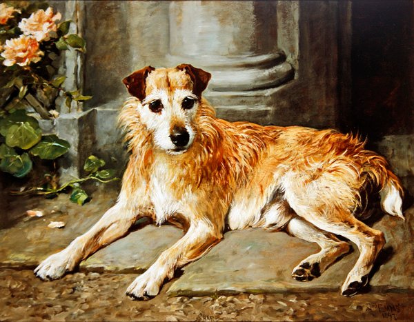Scharf von John Emms