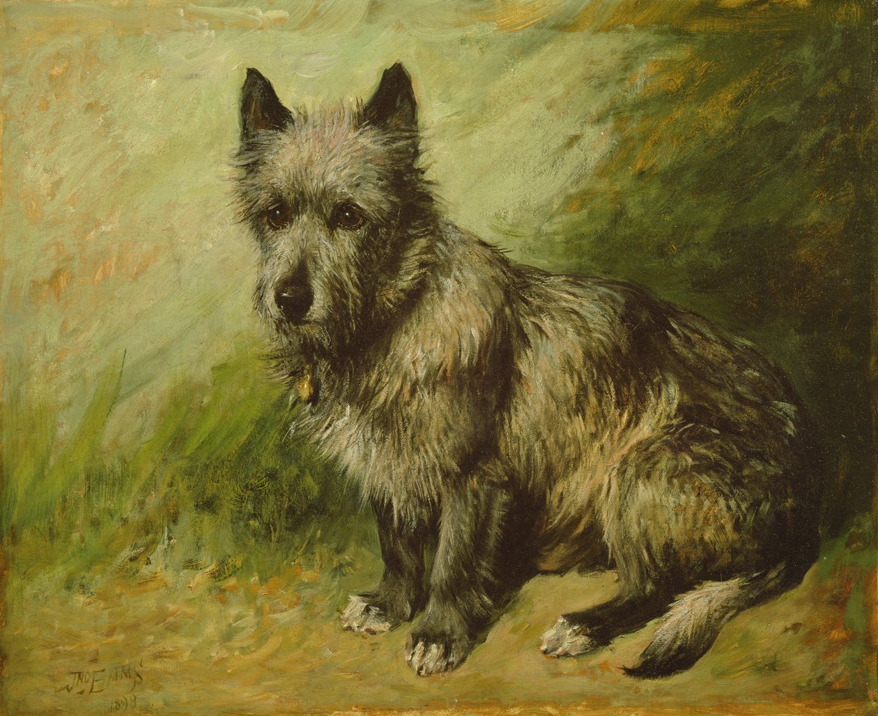 Tatters von John Emms