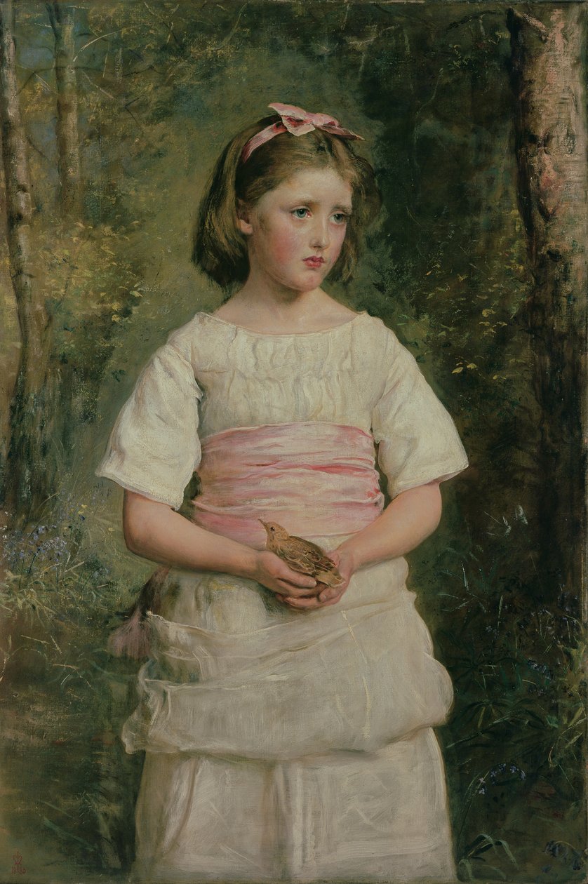 Aus dem Nest gefallen von John Everett Millais