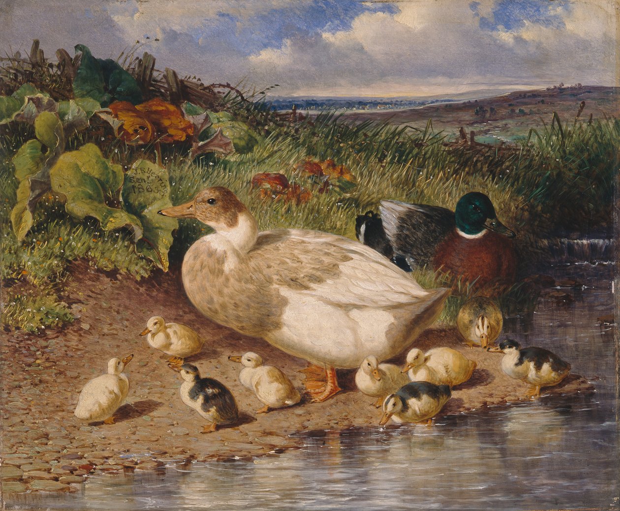 Enten an einem Bach von John Frederick Herring Snr