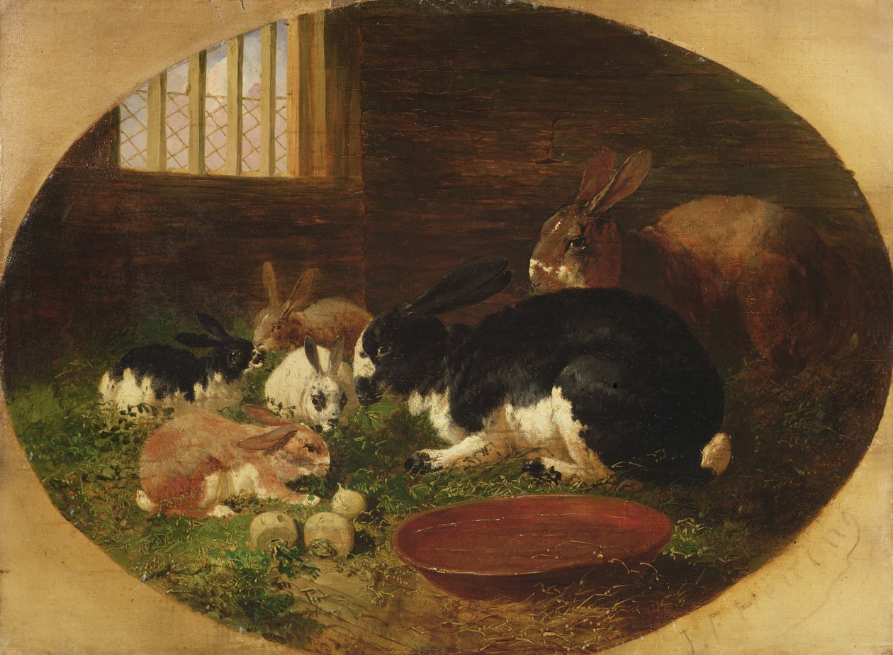 Der Kaninchenstall von John Frederick Herring Senior